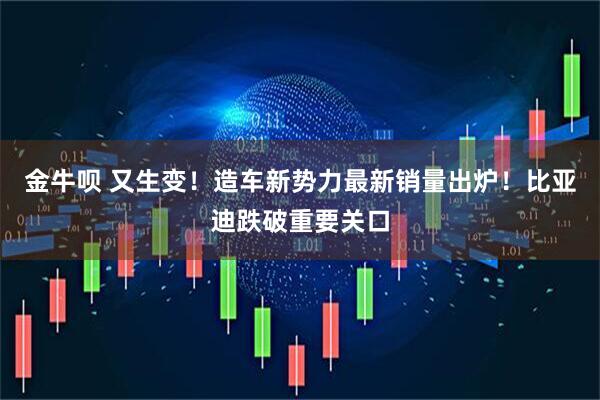 金牛呗 又生变！造车新势力最新销量出炉！比亚迪跌破重要关口