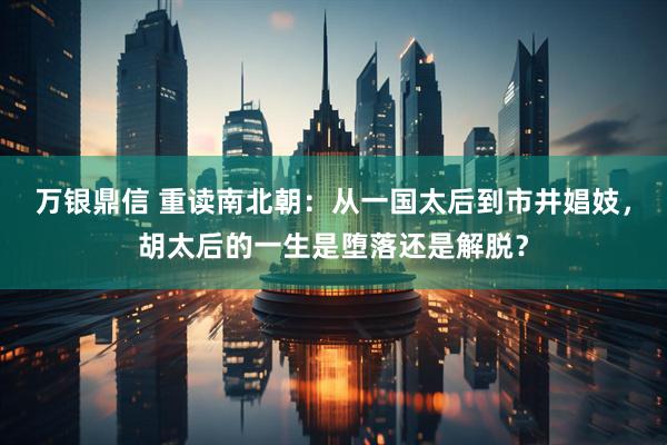 万银鼎信 重读南北朝：从一国太后到市井娼妓，胡太后的一生是堕落还是解脱？